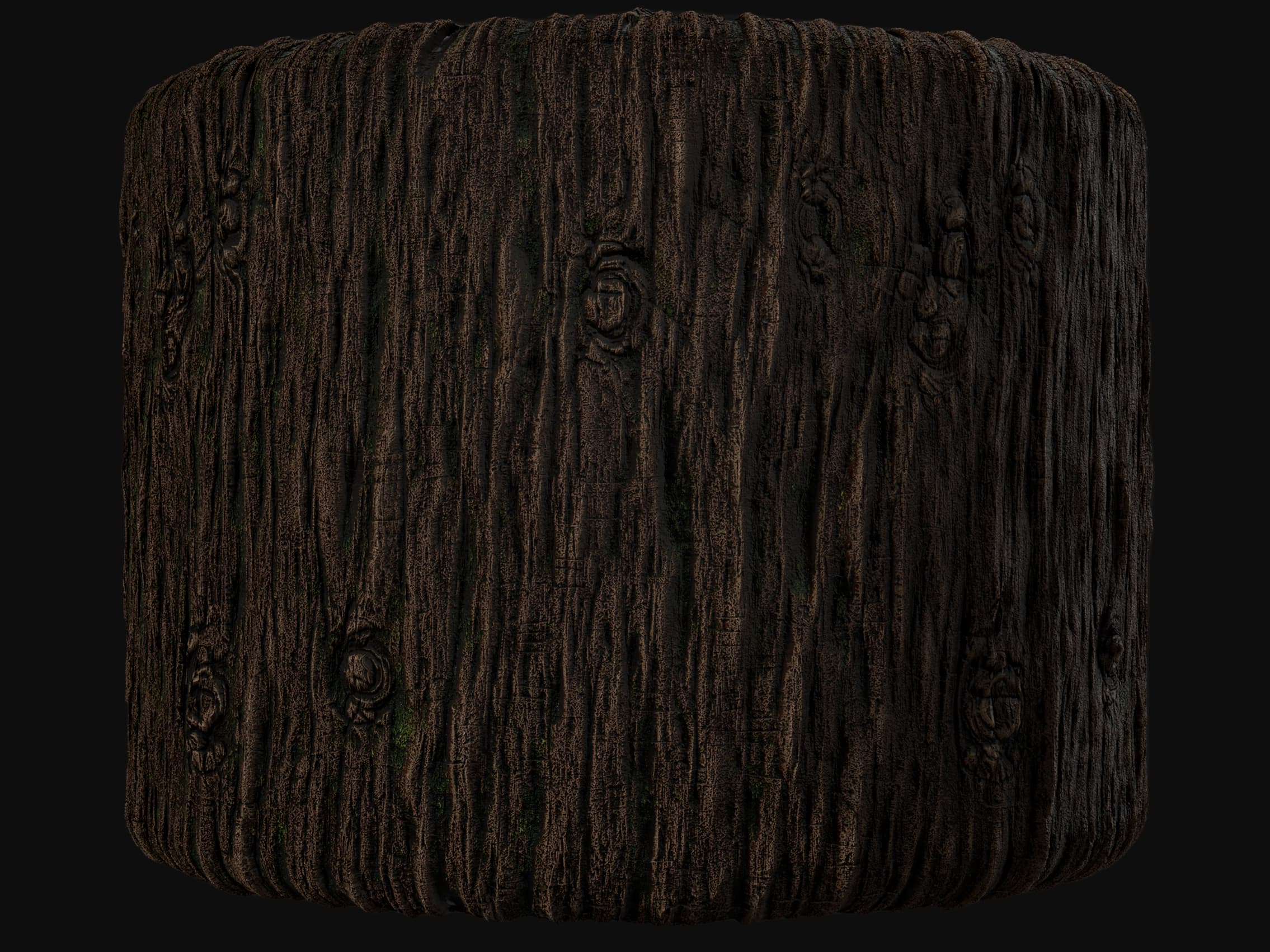 Bark Material Render